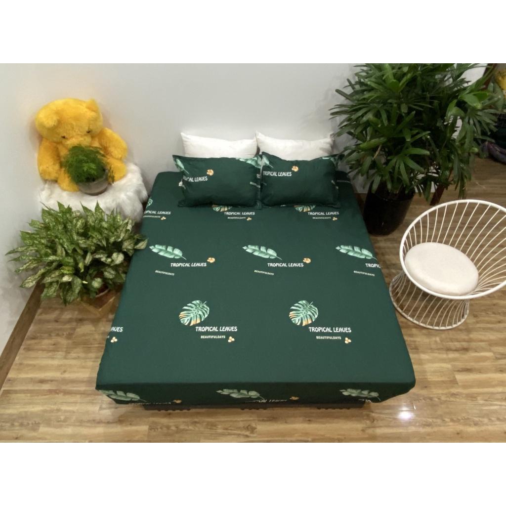Set ga 3 món 1 ga chun và 2 vỏ gối các kích thước