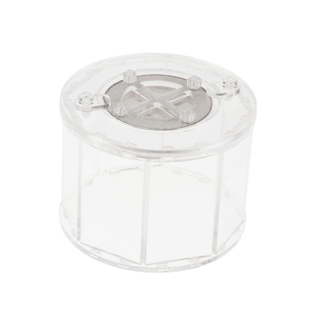 Spider Insect Reptile Tank Vivarium Cage Box Transparent Acrylic Terrarium