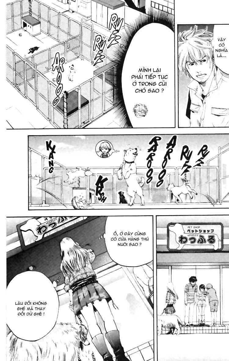 cô nàng yêu chó chapter 5 7