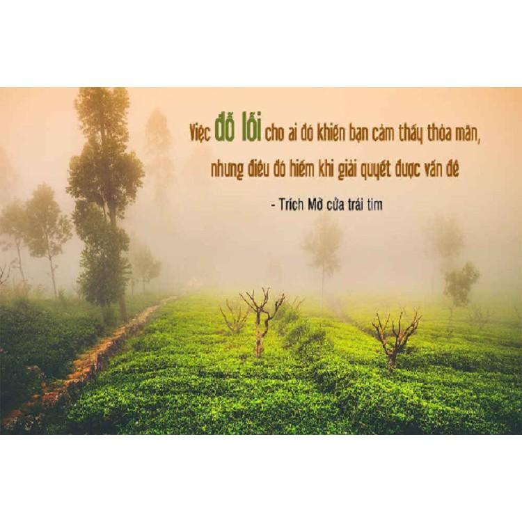 Mở Cửa Trái Tim Opening The Door Of Your Heart - Bản Quyền