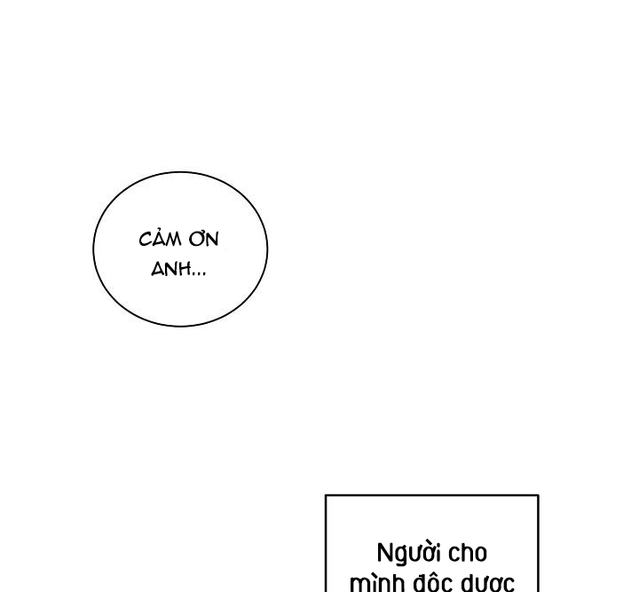 Chàng Tuấn Mã Của Tôi chapter 2