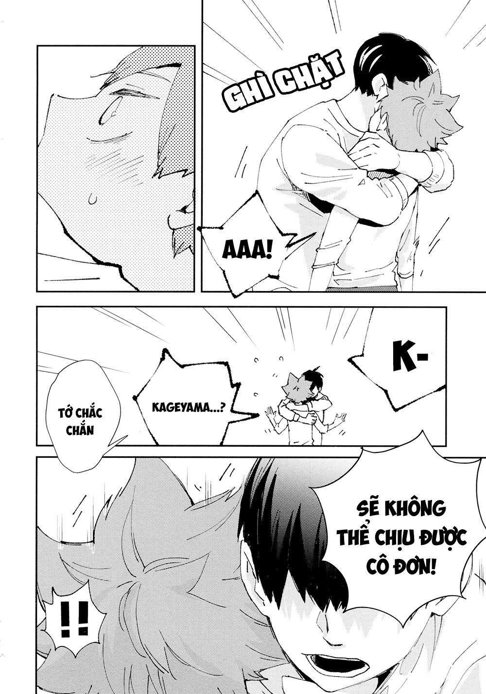 tuyển tập haikyuu dj by dammei bl chapter 22 8