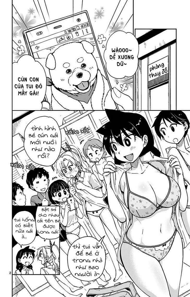 amano megumi wa suki darake! chapter 31 3