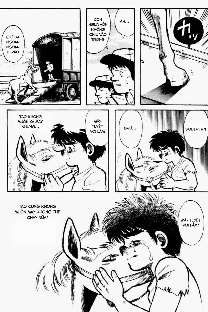 kaze no sylphid - phong mã silphid chapter 1 29