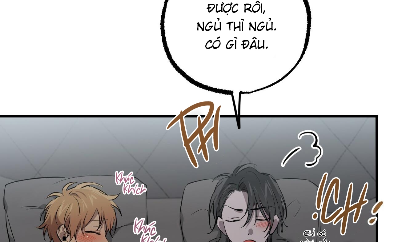 những chú thỏ của hapypy chapter 52 79