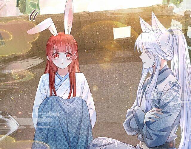 hắc hóa nam chính trực tuyến nuôi thỏ chapter 11 8