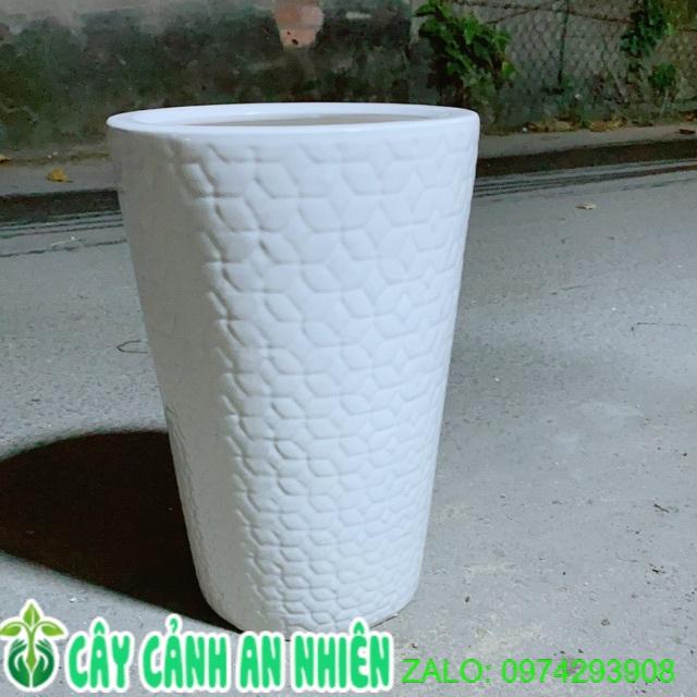 Chậu Trồng Cây Chỉ Giao Hoả Tốc