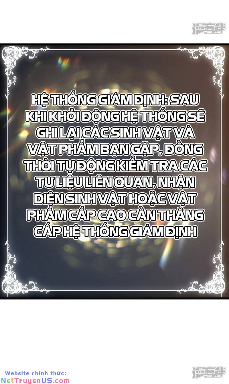 sát thần chi lộ tại dị giới chapter 49 49