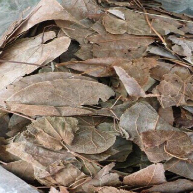 DÂM DƯƠNG HOẮC KHÔ 500g