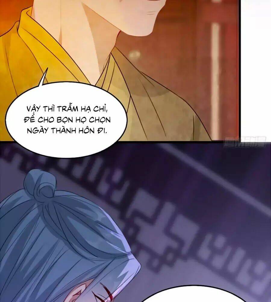 gian phi như thử đa kiều chapter 71 11