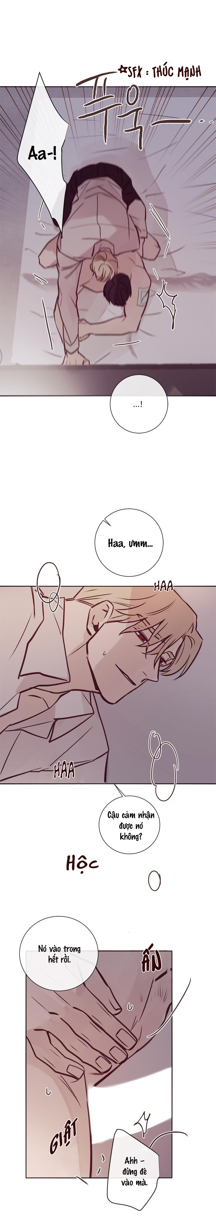 độc dược (marcel) chapter 8 17