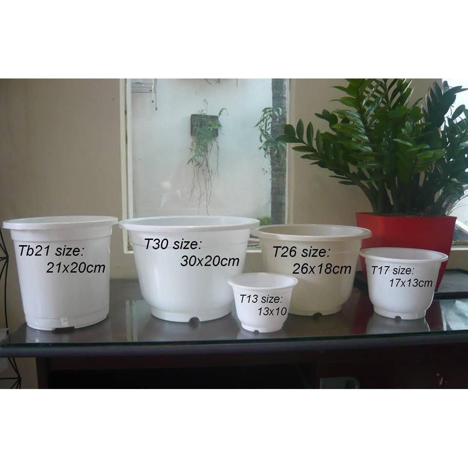 Chậu tròn trắng T26