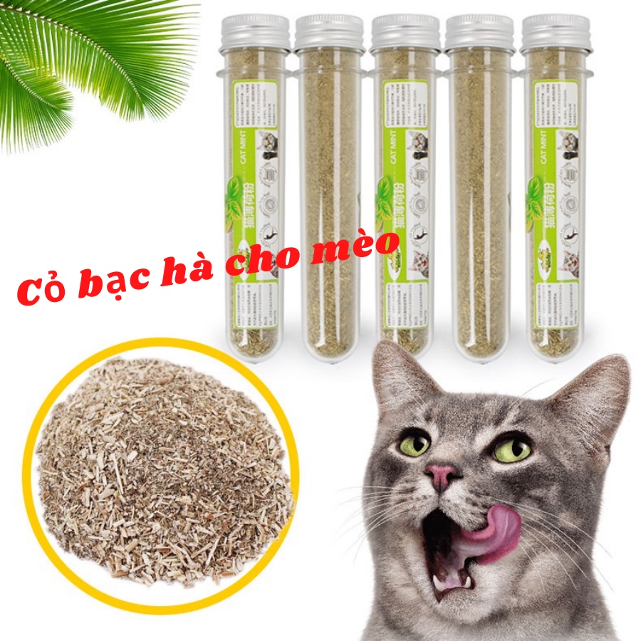 CỎ MÈO CATNIP XẢ STRESS DÀNH CHO MÈO AN TOÀN