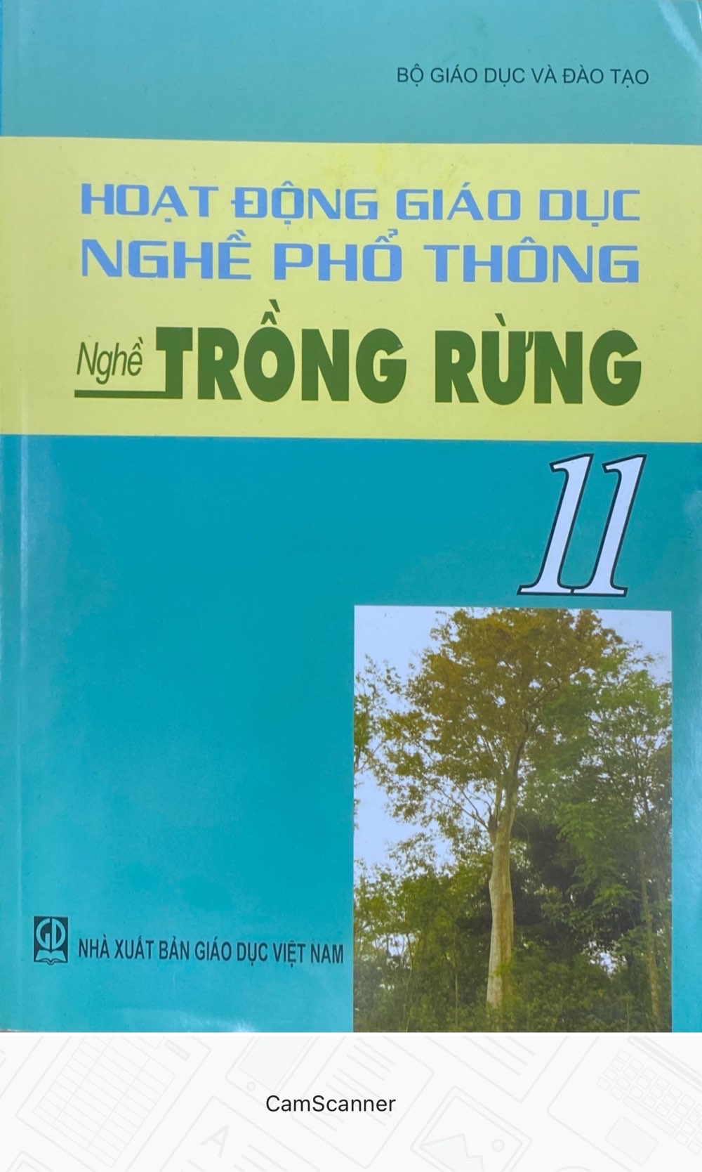 Hoạt động nghề giáo dục nghề phổ thông- nghề TRỒNG RỪNG 11 - TB2021