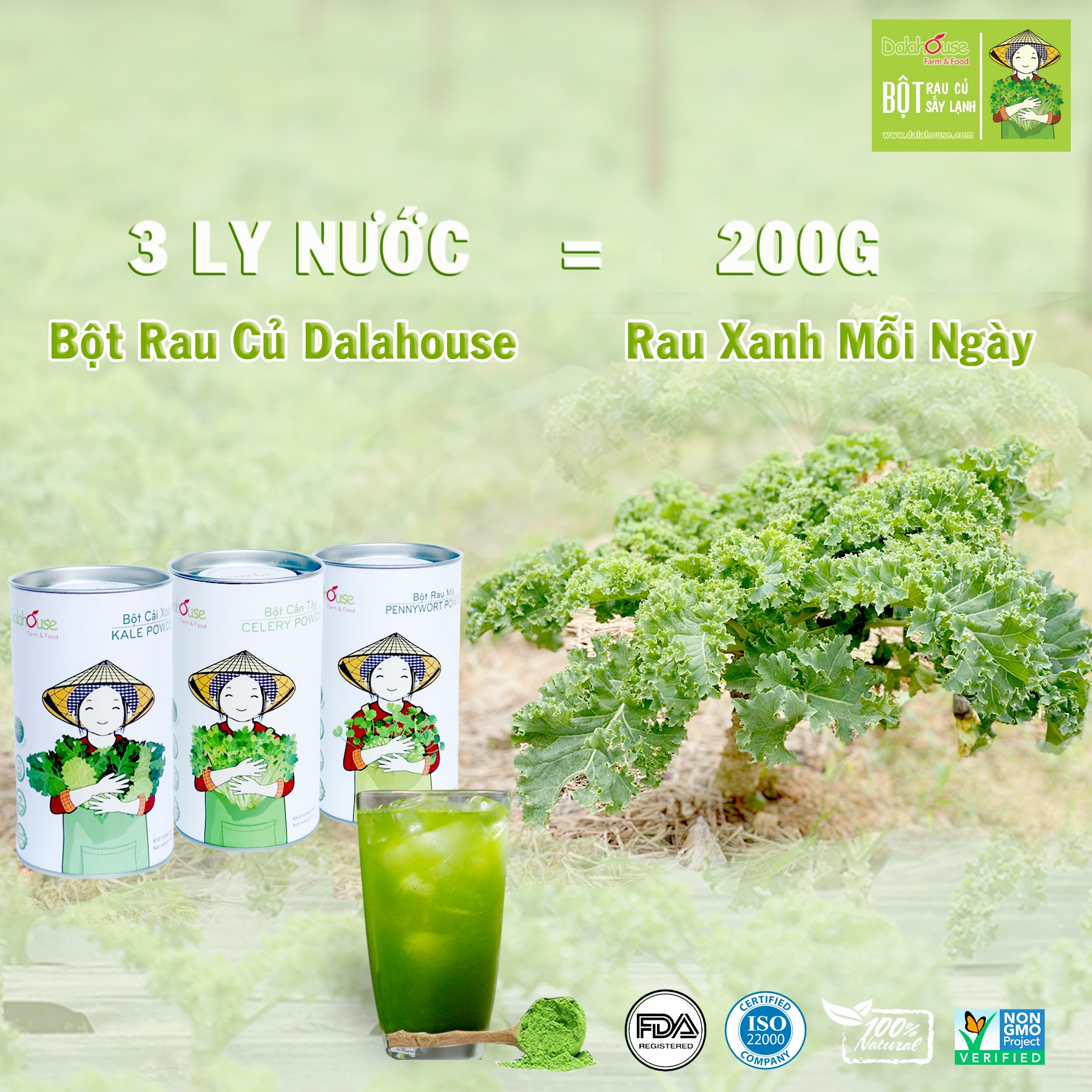 Bột cải xoăn hữu cơ sấy lạnh Dalahouse - Hộp 20 gói 3gr tiện lợi - Đào thải độc tố, chống ô xy hóa, bổ sung can xi hữu cơ cho cơ thể
