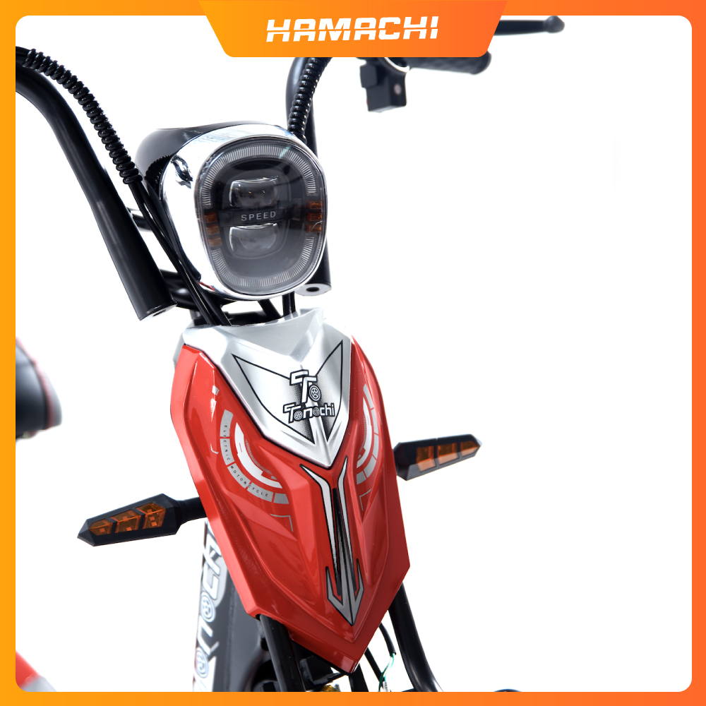 Xe điện Hamachi TNC 02