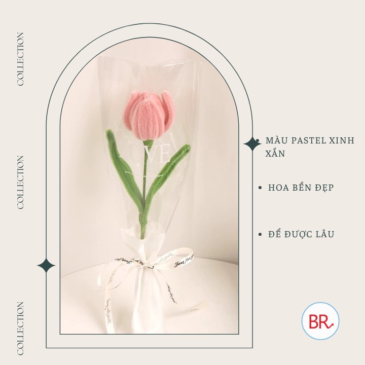 Set quà tặng hoa tulip kẽm nhung