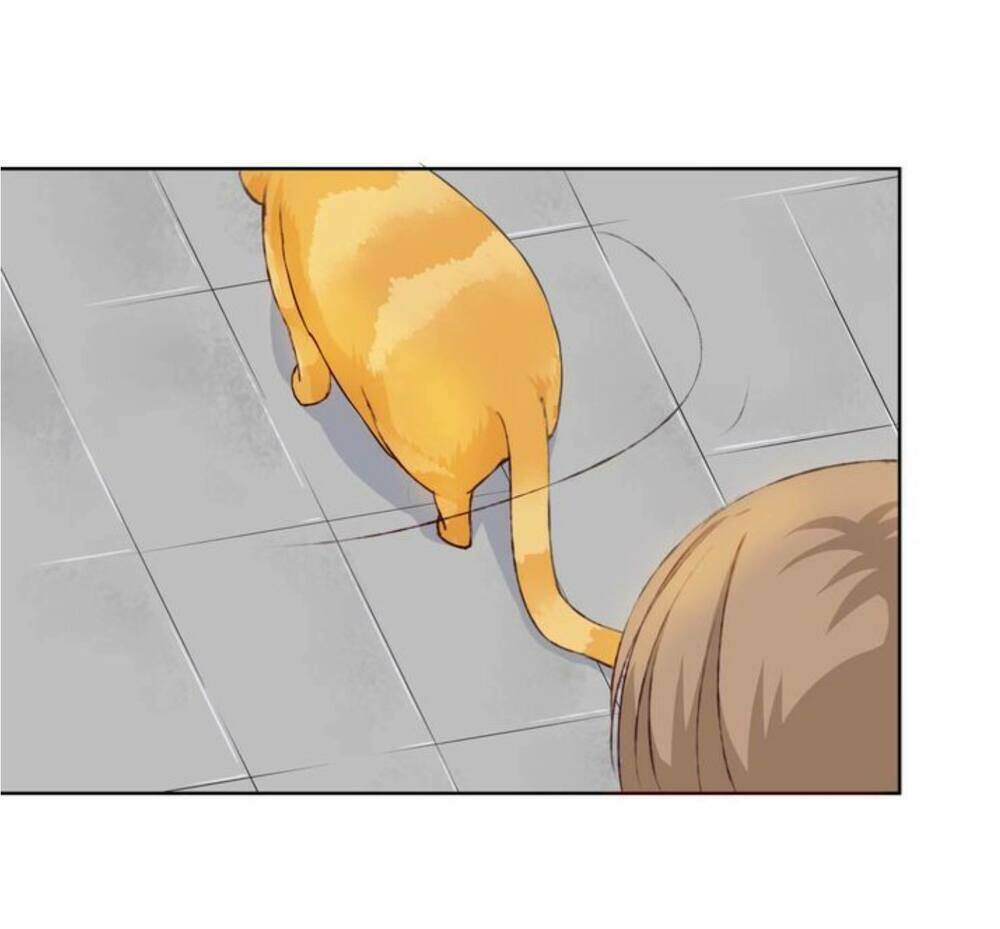 tôi không phải đa nhân cách chapter 11 42