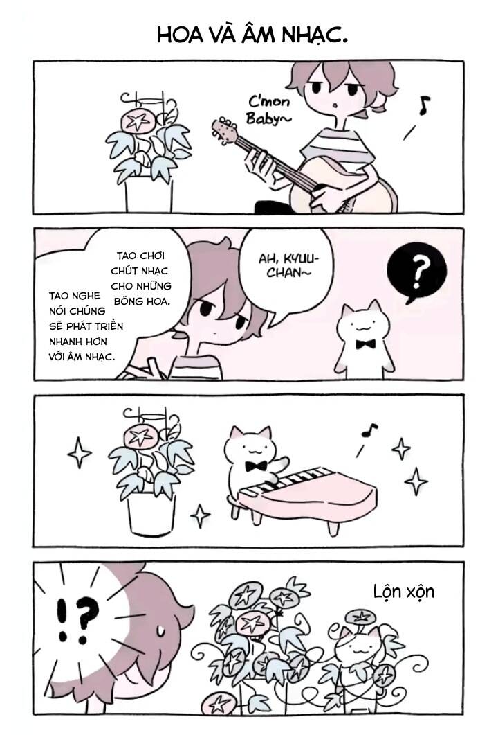 chú mèo kỳ diệu kyuu-chan chapter 729 3