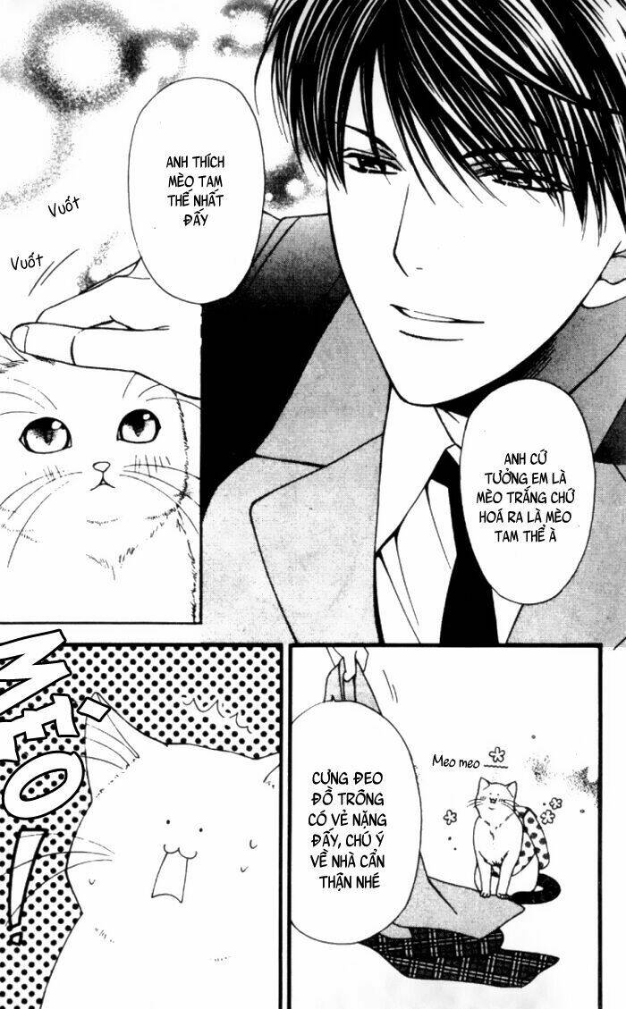 neko neko honey chapter 1 13