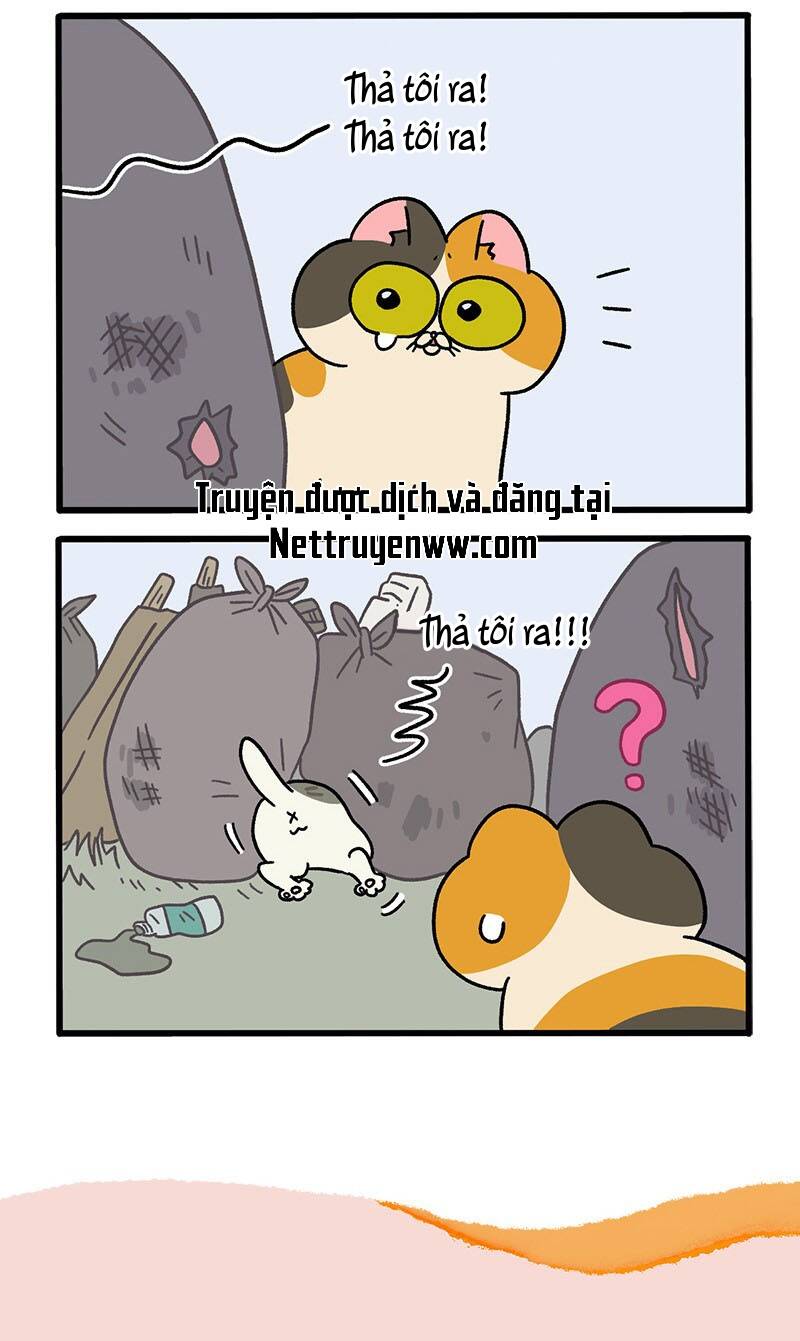 a mãn và mạch trà chapter 50.2 6