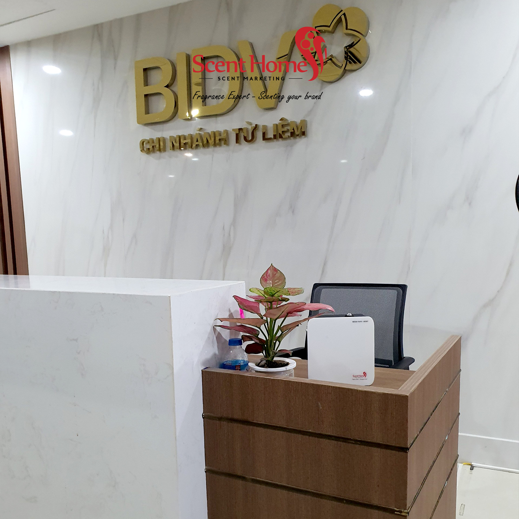 Máy tạo hương thơm cao cấp Scent Homes