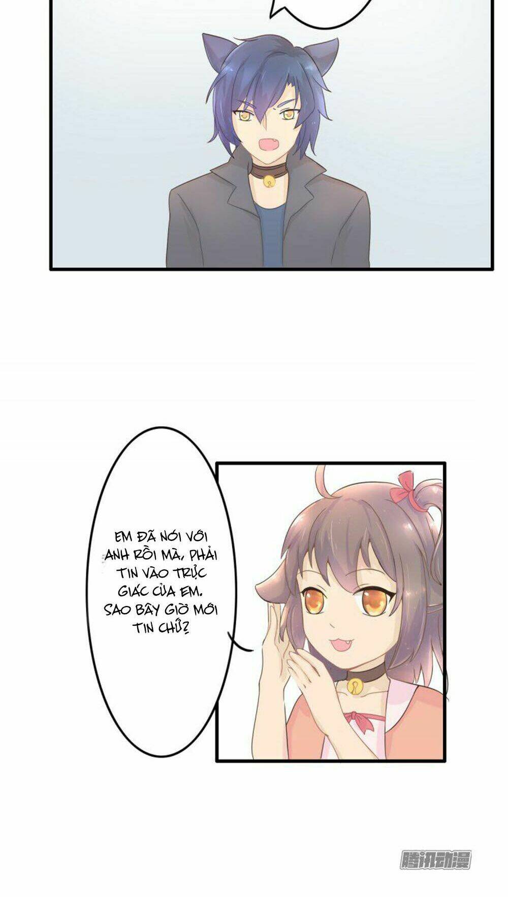 hai chú mèo totem chapter 1 19