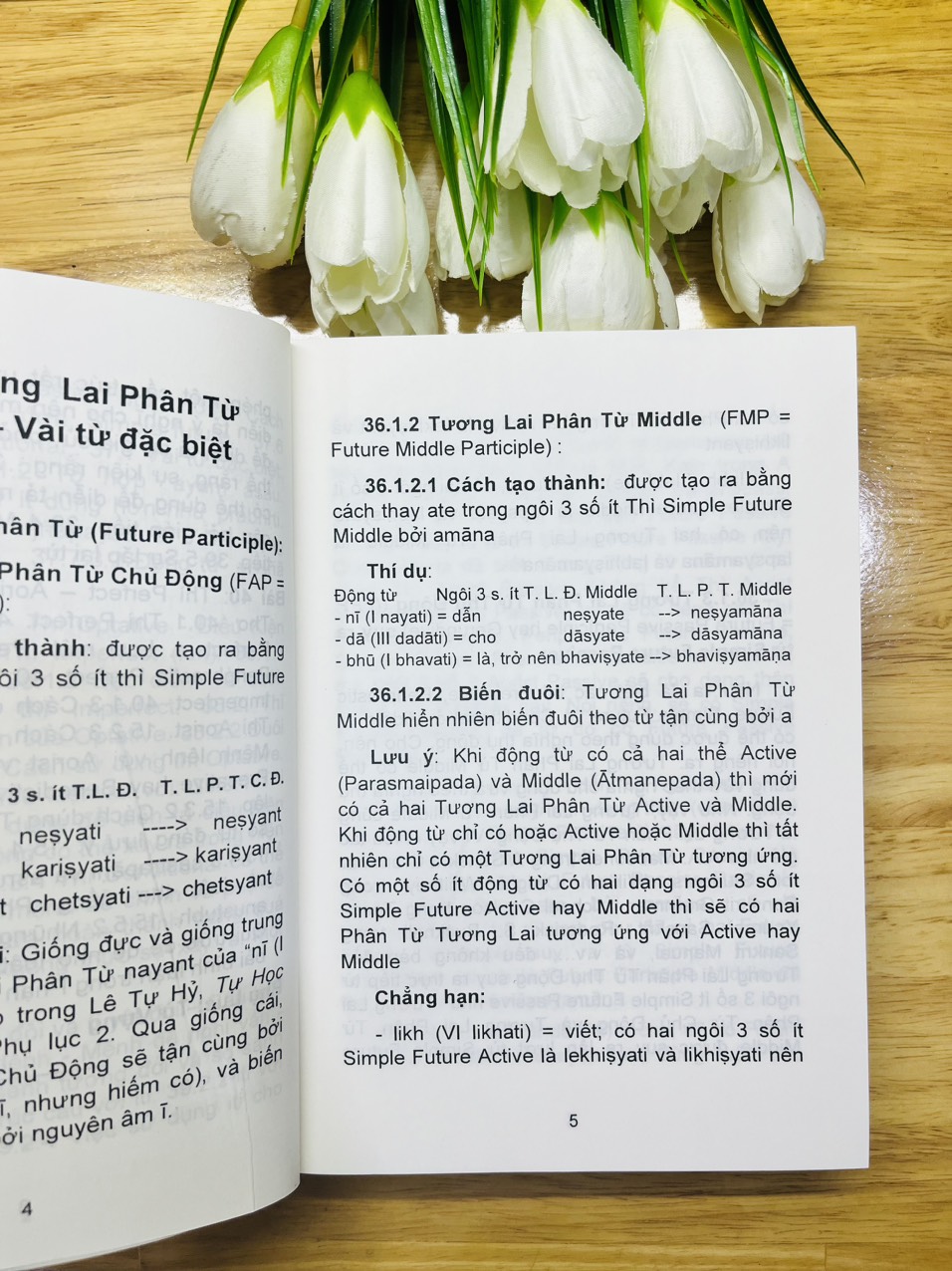 Sách - Tự Học Tiếng Phạn - Tập 4 (Phần2-HQ)