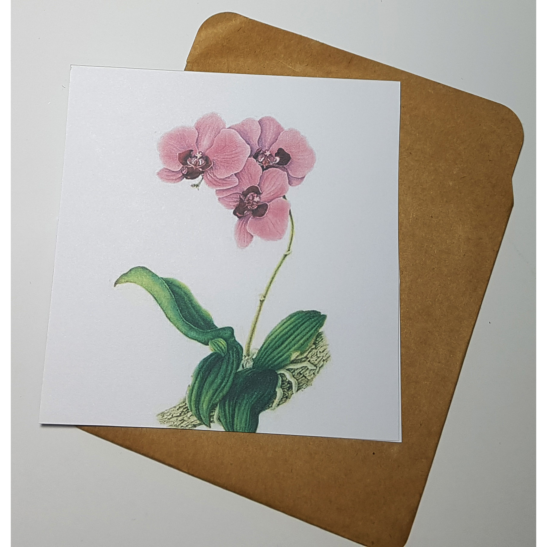 Thiệp phong cách Vintage card quà cám ơn ,chúc mừng sinh nhật và giử tặng người thân yêu.