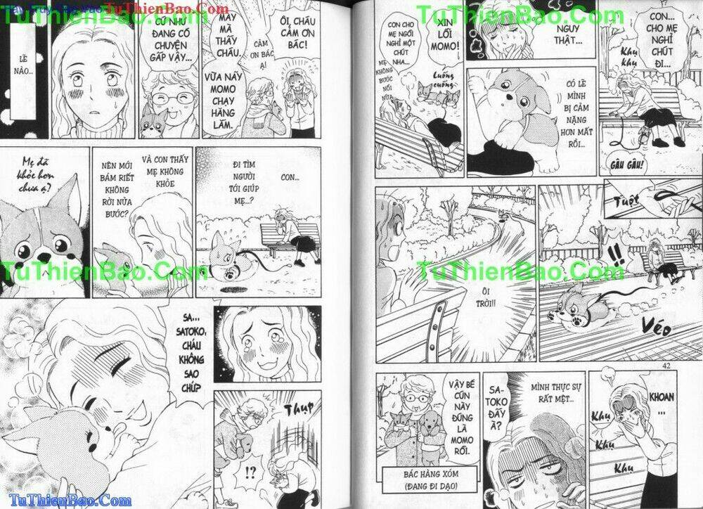 chó con mo mo chapter 6 22