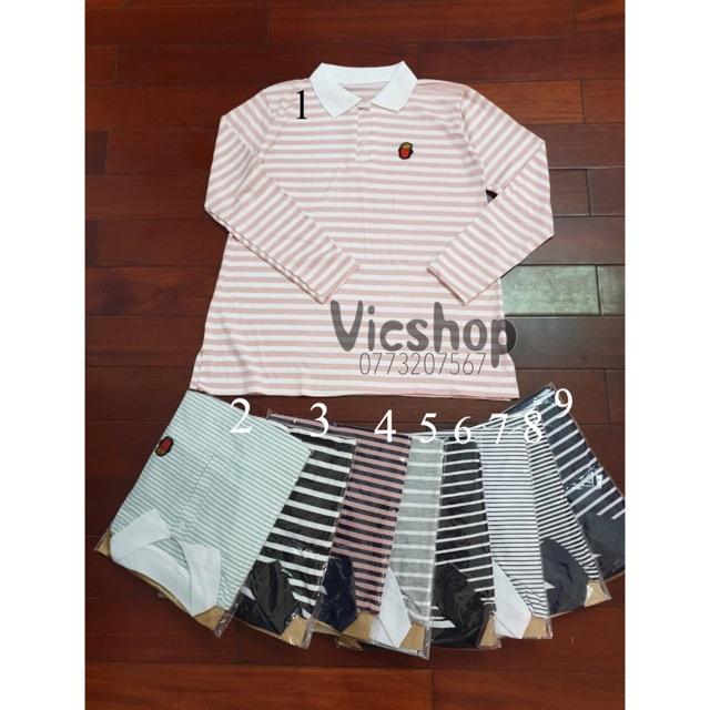 Áo thun bầu cổ đức