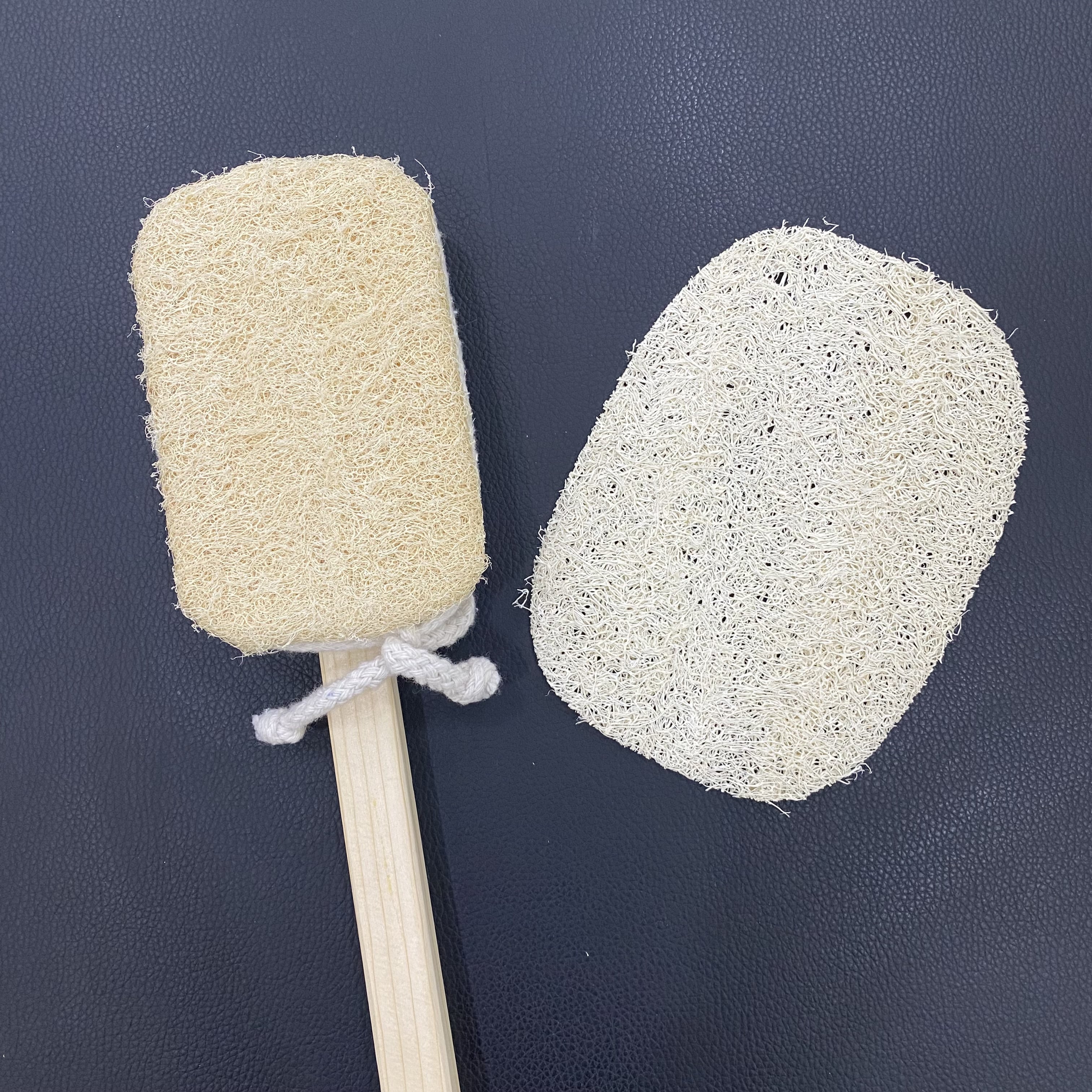 Miếng Thay Cây Chà Lưng Xơ Mướp Chuyên Dụng Cho Cây Chà Lưng Xơ Mướp Vi Lâm