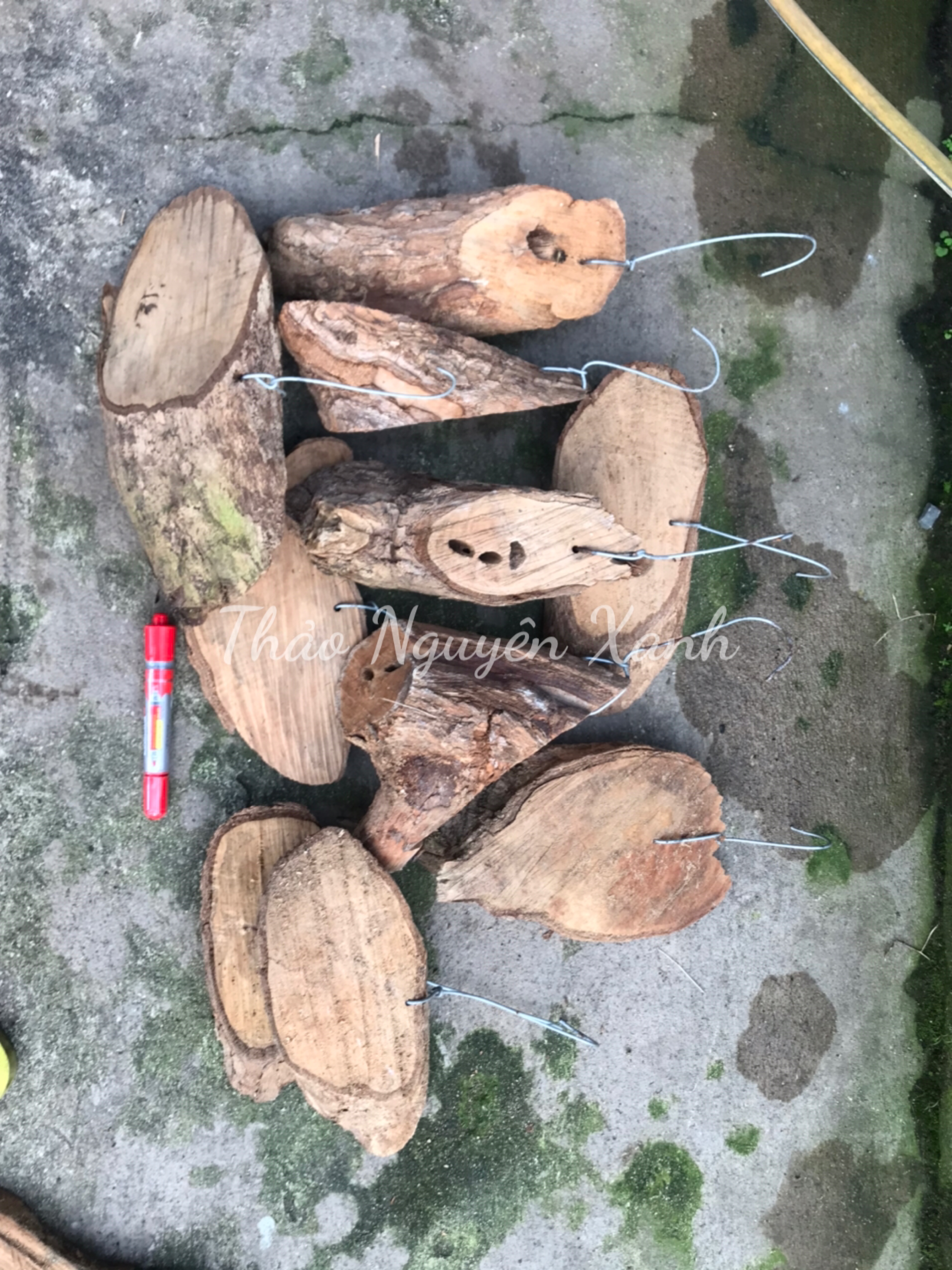 Bảng Gỗ Vú Sữa Có Móc Treo