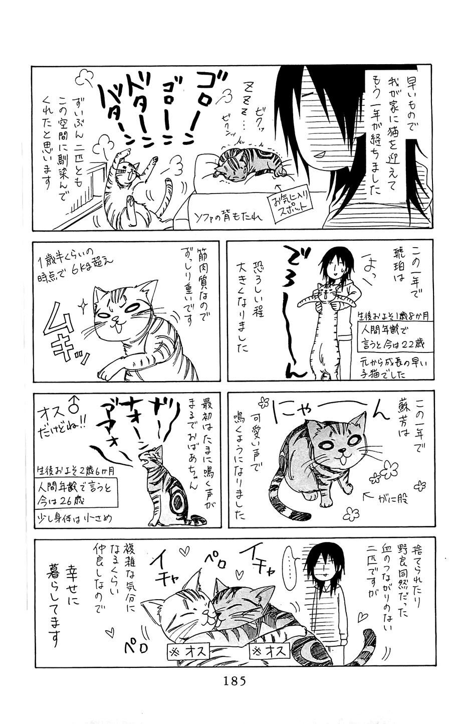 khi sếp là hầu bàn chapter 65 33