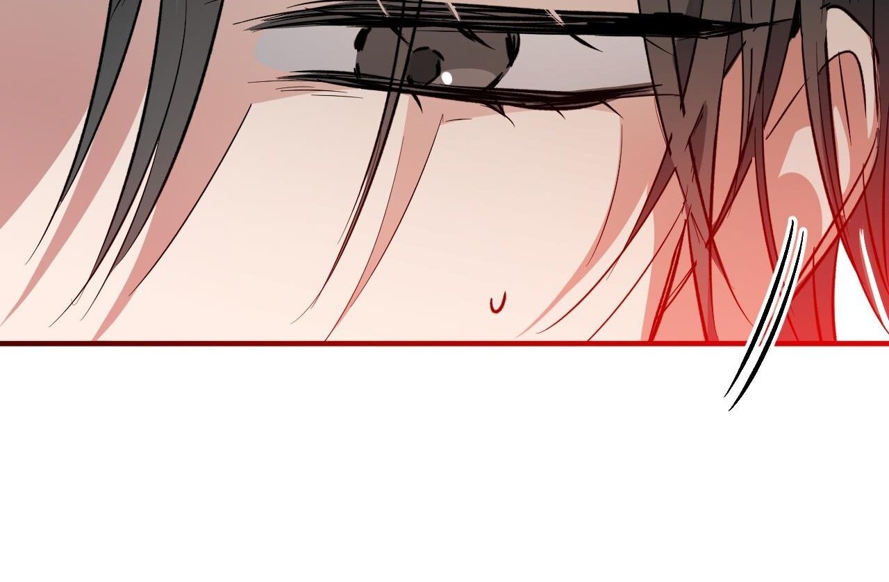 những chú thỏ của hapypy chapter 61 35