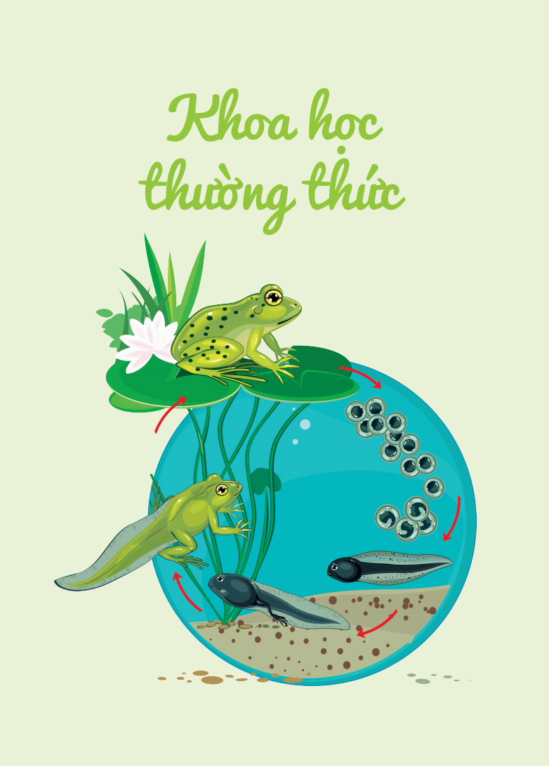 Cuốn Sổ Lớn Montessori - Về Khám Phá Thế Giới