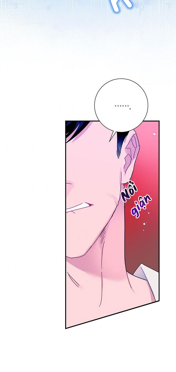 công chúa của loài chim chapter 52.1 25