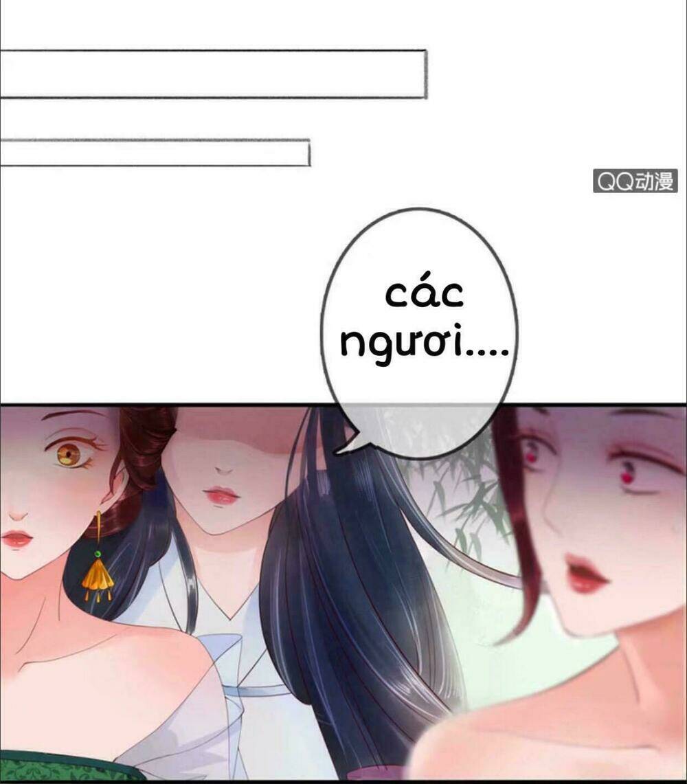 sủng phi của vương chapter 4 9