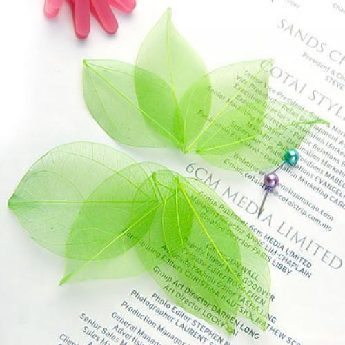 100 Pieces Natural Plant Leaves for Craft Cards Scrapbooking Bookmark DIY