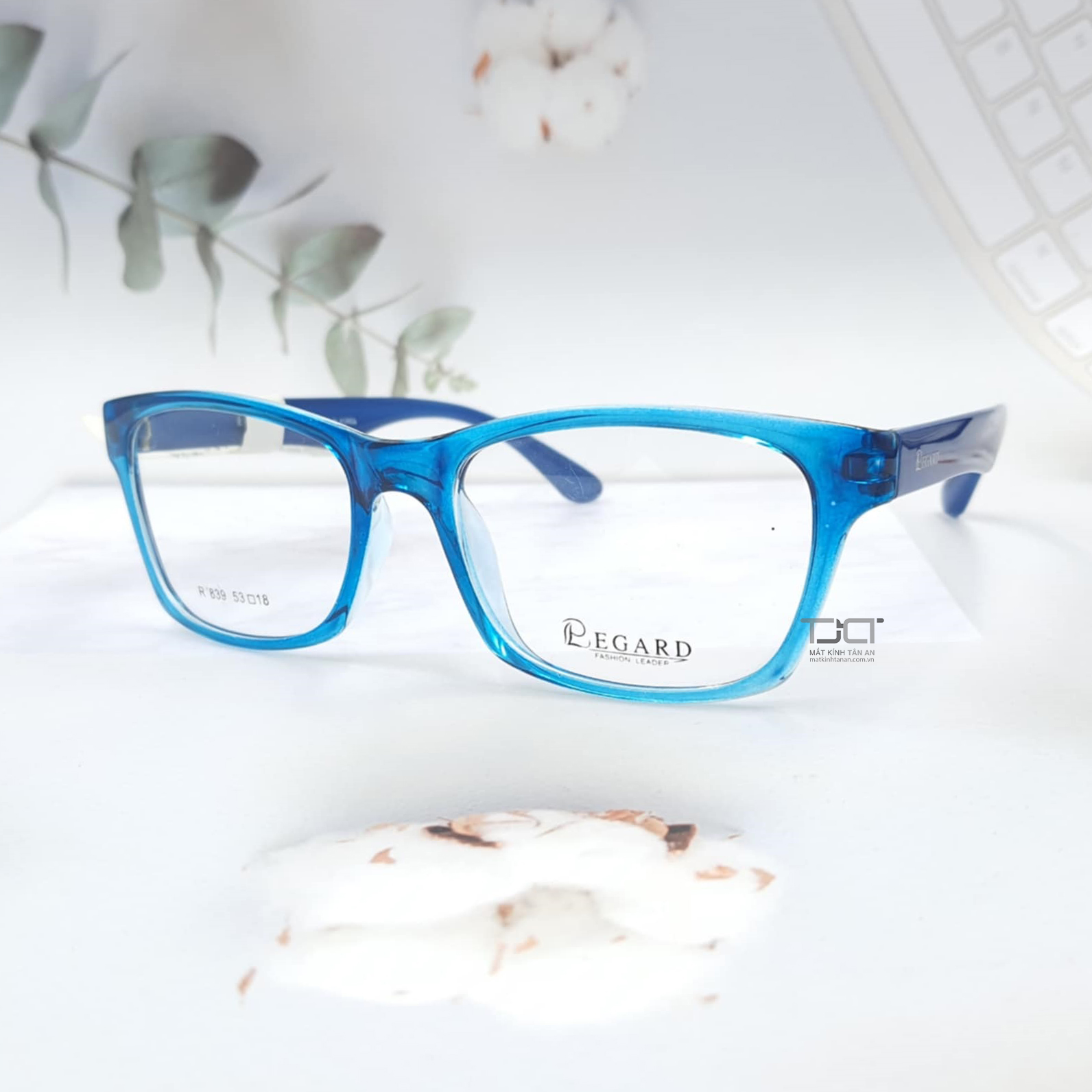 GỌNG KÍNH CẬN UNISEX, CHÍNH HÃNG REGARD R839-SBL-NBL/PRL