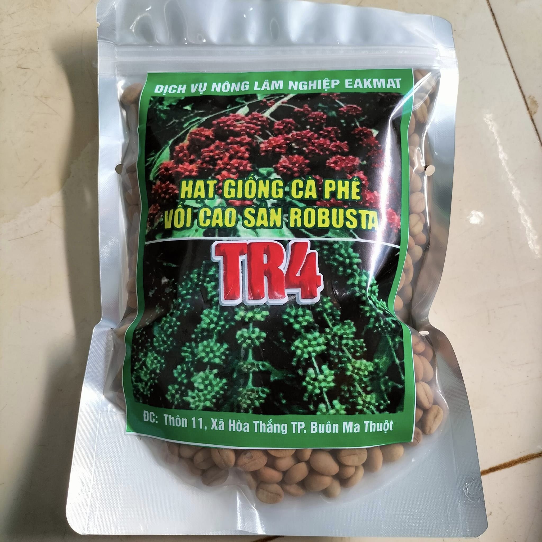 500gram hạt cà phê xanh lùn giống