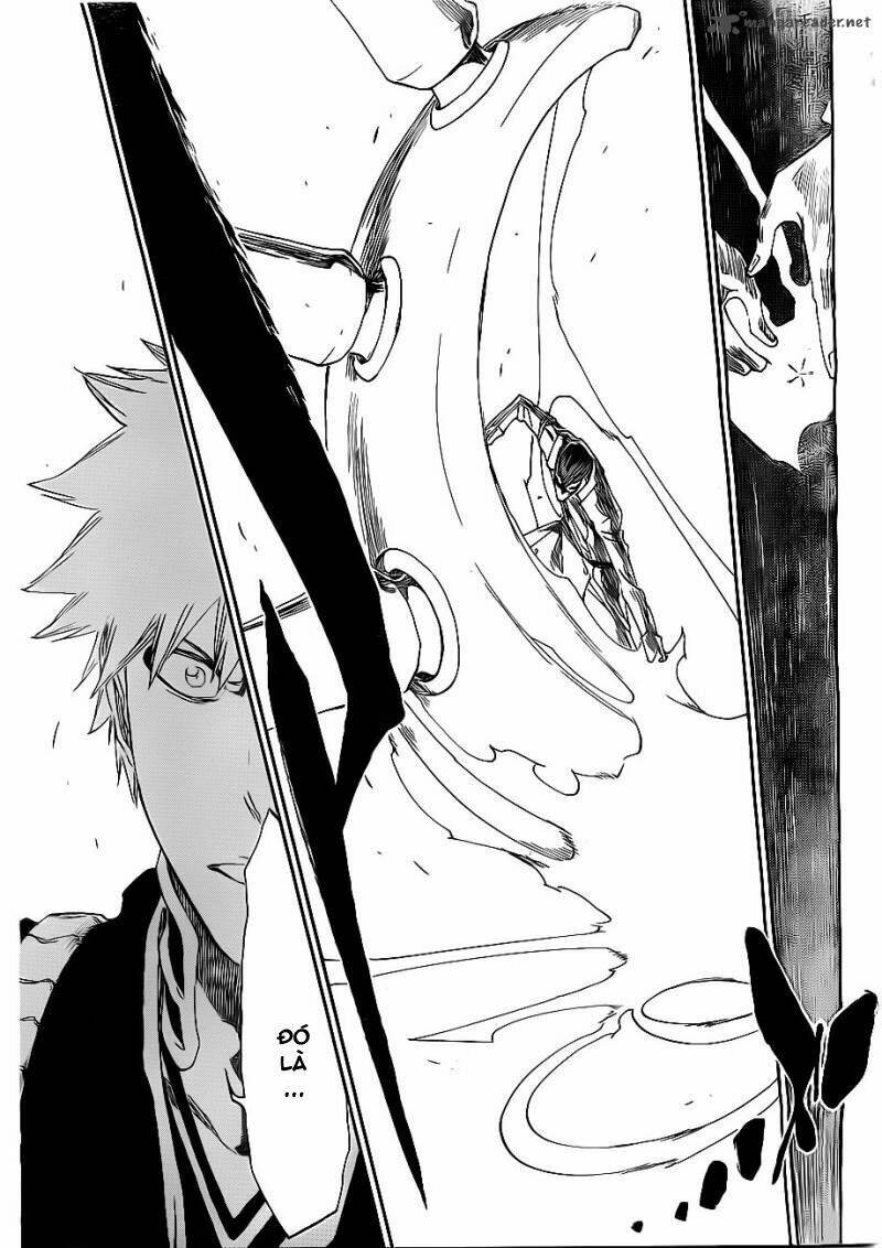 thần chết ichigo chapter 482 9