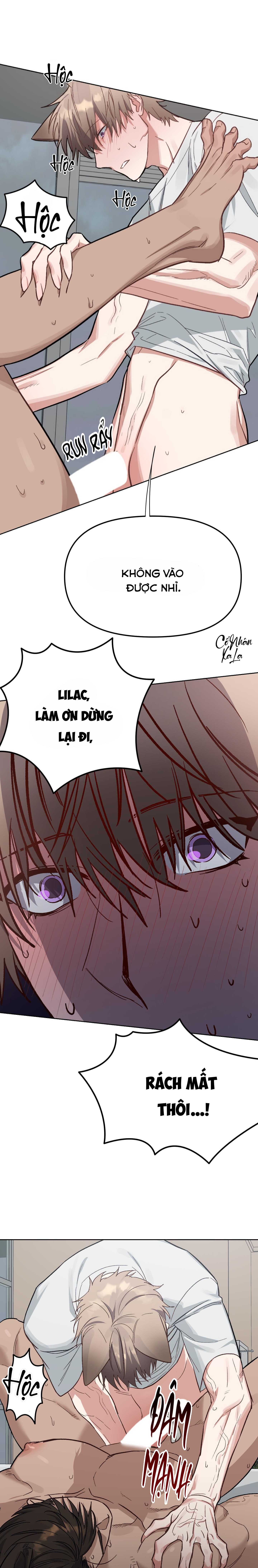 3 giây thỏ "nhỏ" đã xuất tinh rồi chapter 4 12