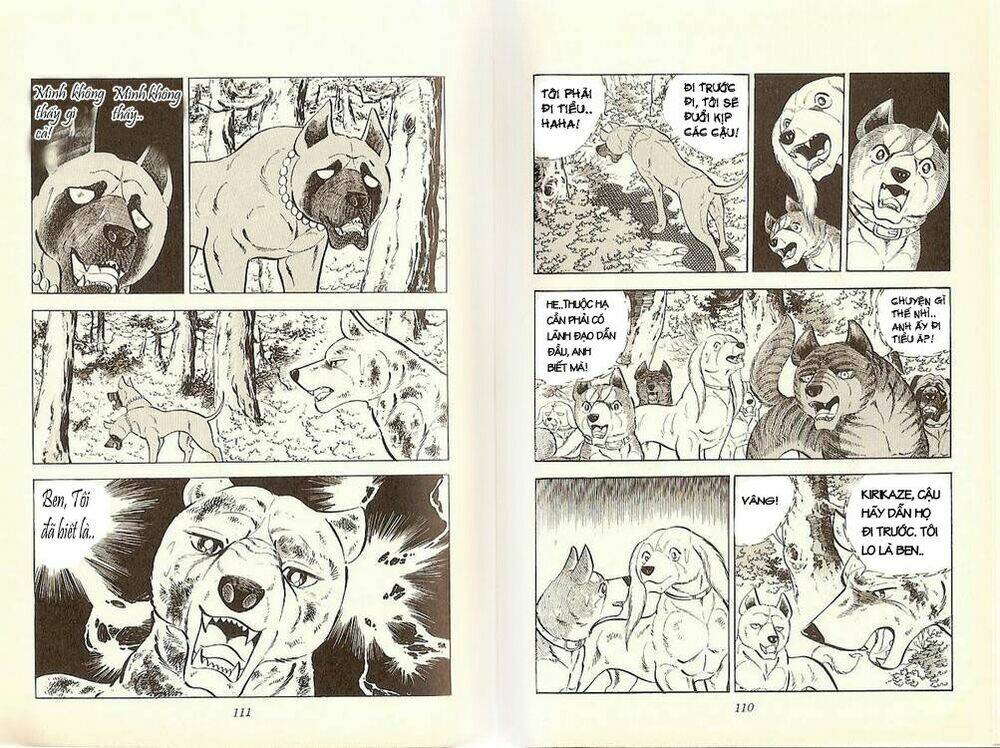 chú chó có nghĩa - ginga nagareboshi gin chapter 20 4