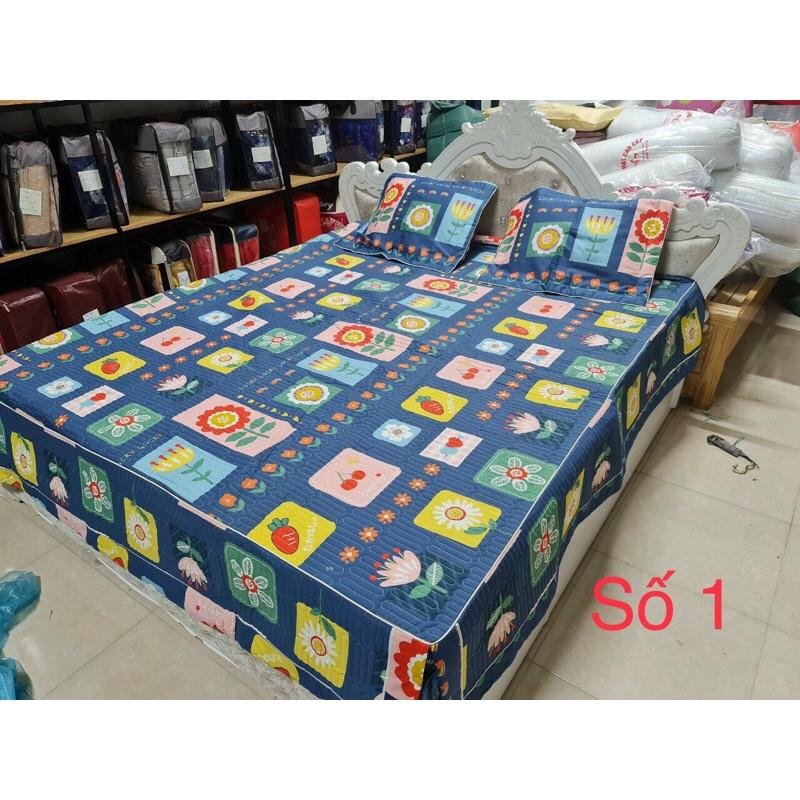 Bộ ga gối trần phủ cotton 1m5x2m/1m6x2m