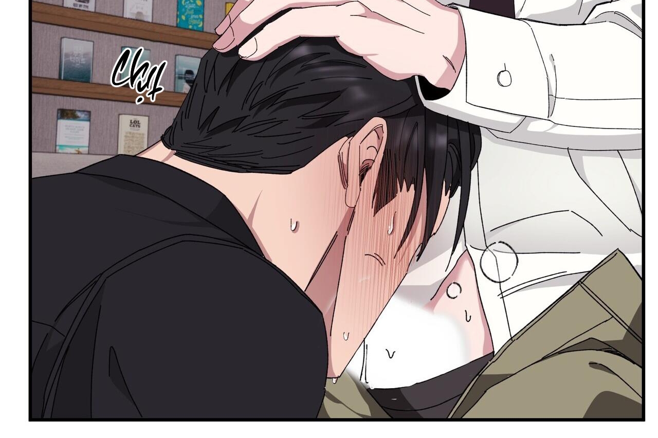 chàng dâu nhà họ kang chapter 34 111