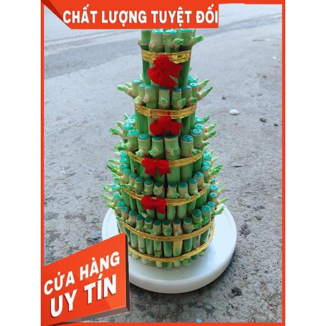 Cây Trúc Phát Tài Kèm Dĩa