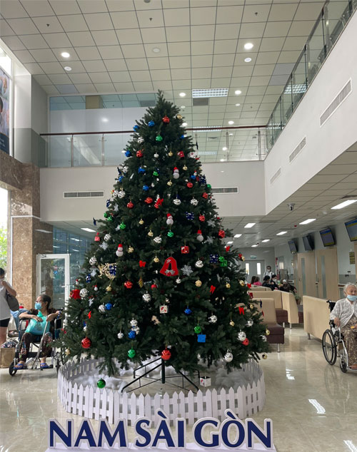 Cây thông Pe cao cấp 1m5 - Cây thông noel PE -  Cây tự động bung cành