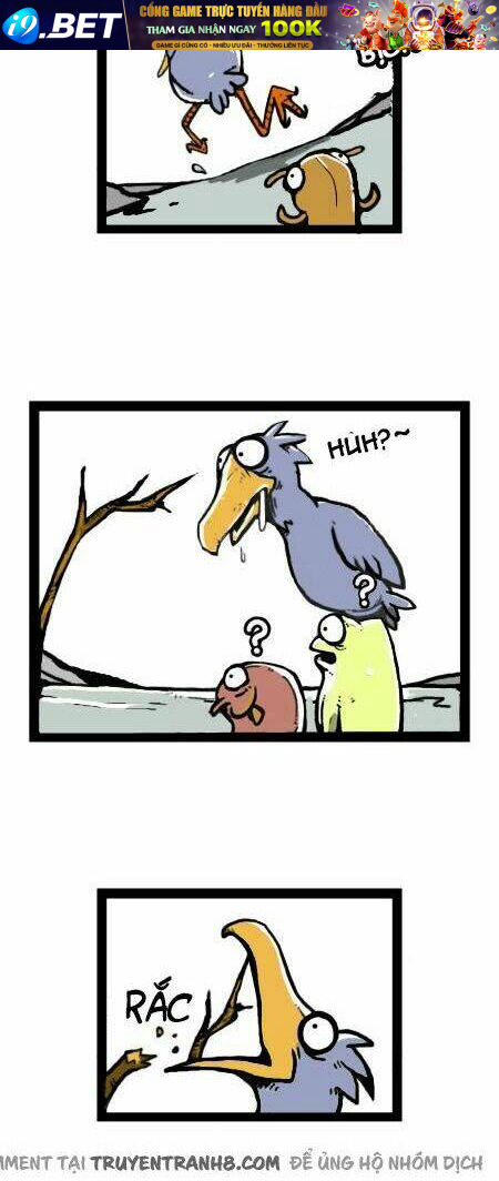 earth, human, and animal chapter 14 16