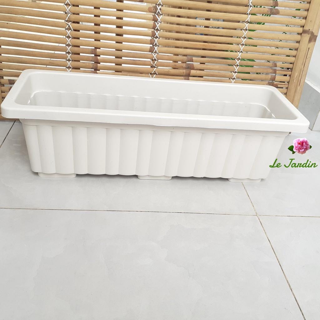 Chậu nhựa dài trồng cây kiểng, rau sạch ban công sân thượng
